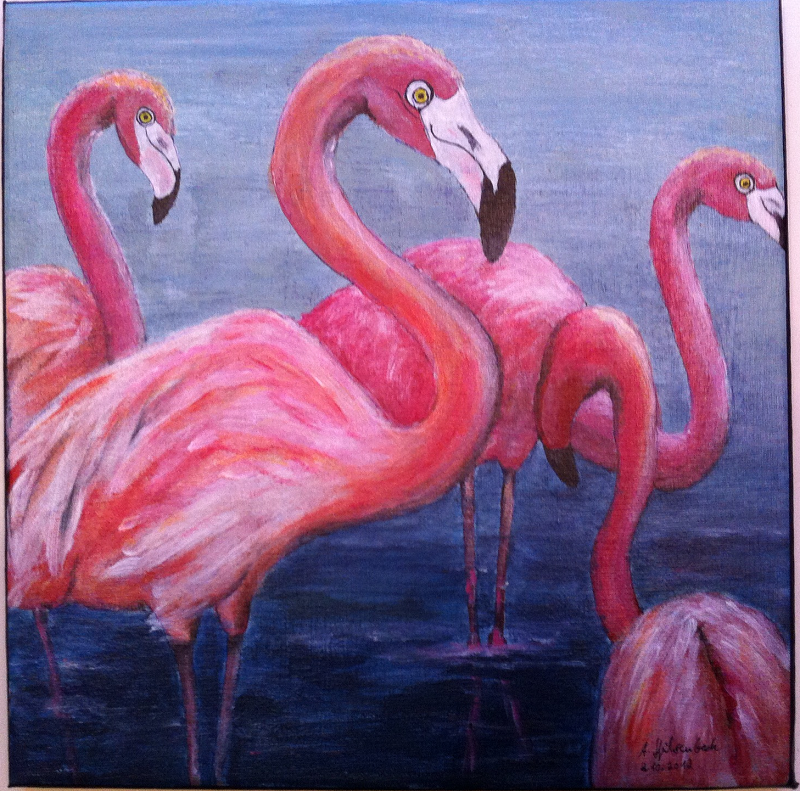 Flamingos1